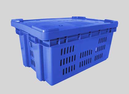 Caja 510031